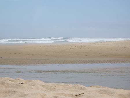 Klima & Vegetation Klima & Vegetation