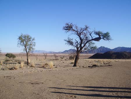 Klima & Vegetation Klima & Vegetation