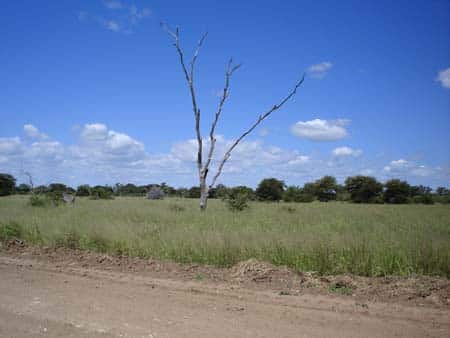 Krüger Nationalpark